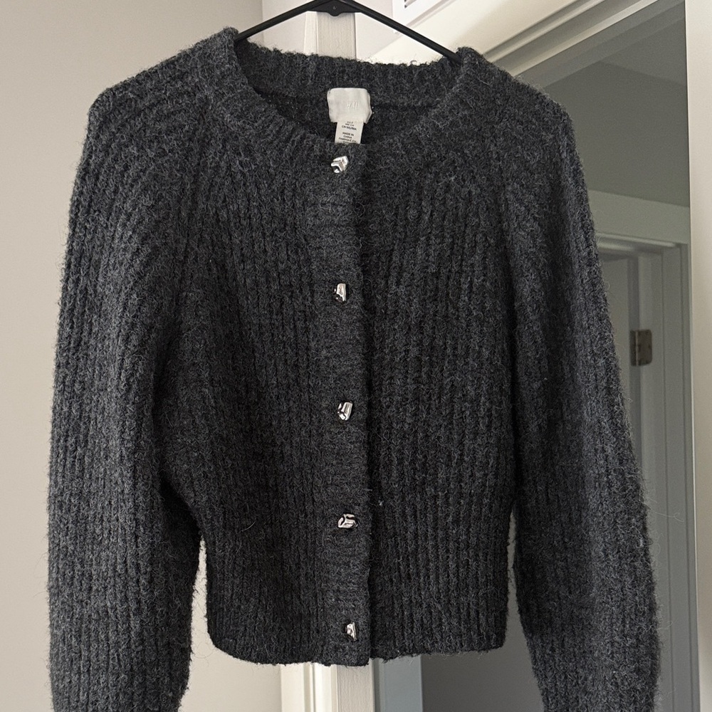 H&M Wool/Alpaca Mix Button Up Sweater
